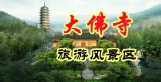 大乱交网页中国浙江-新昌大佛寺旅游风景区